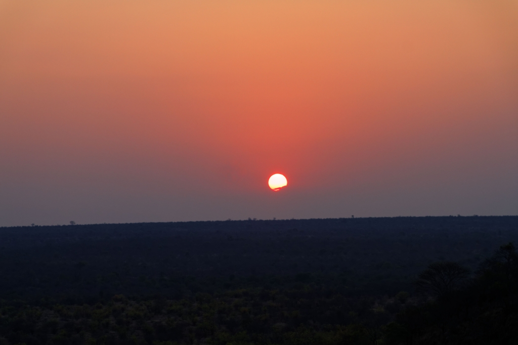 08 - Kruger NP (52).jpg